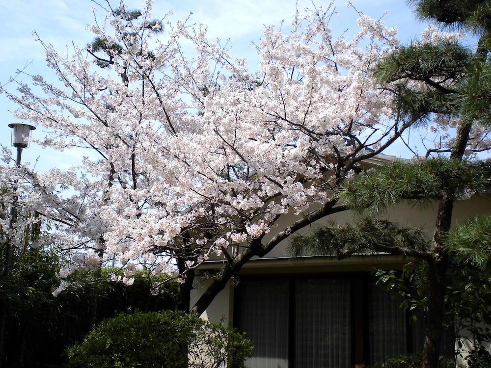 ホテル羽衣 静岡