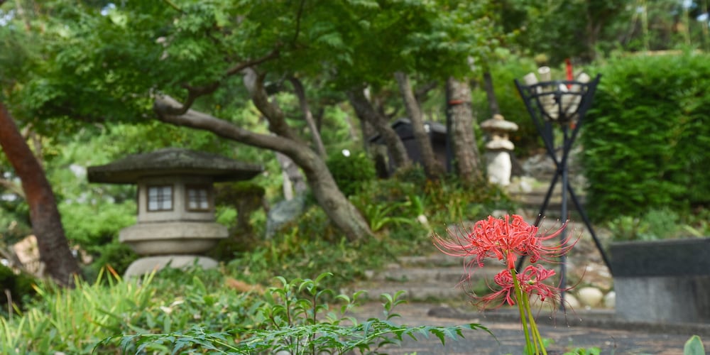 ホテル羽衣 静岡
