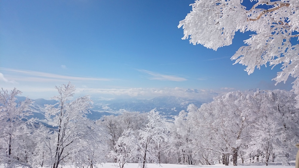 NOZAWA DREAM 松本・軽井沢